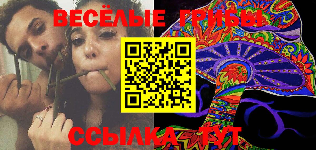 Галлюциногенные грибы GOLDEN TEACHER  Вход с VPN  Кирово-Чепецк 
