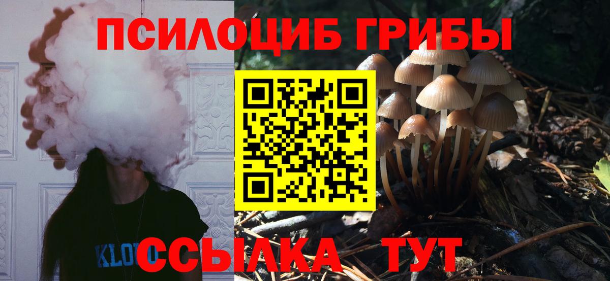 Галлюциногенные грибы MAGIC MUSHROOMS Кирово-Чепецк